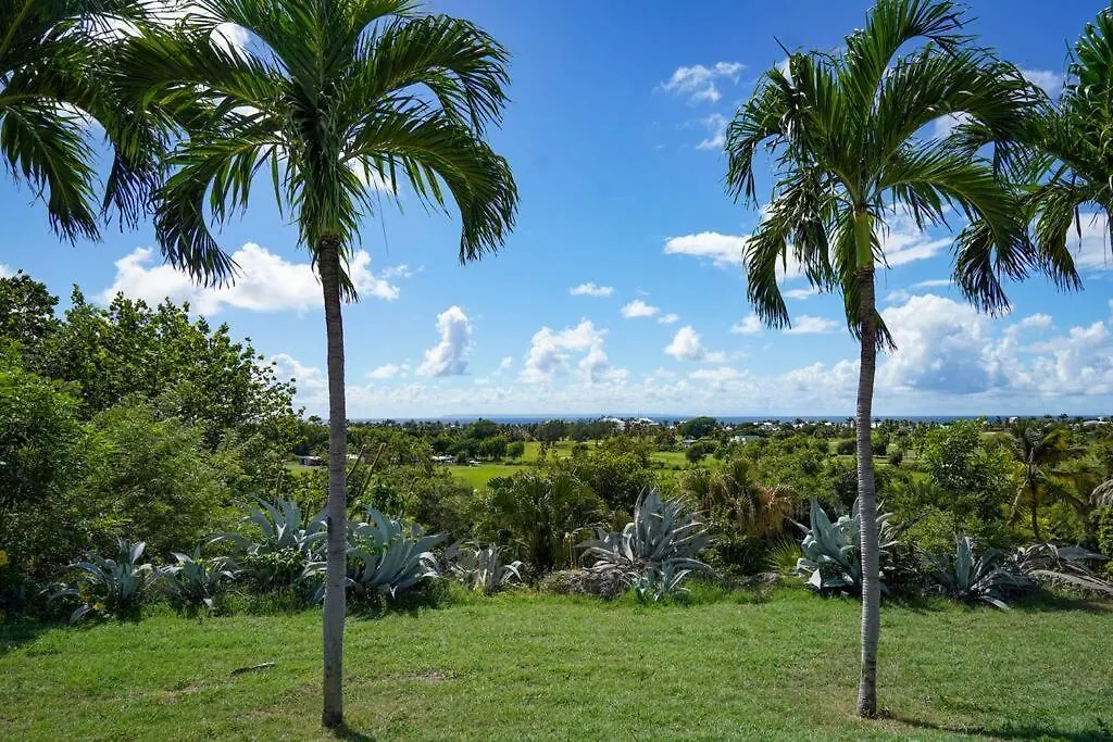 Villa Terraviva St Francois, Jardin, Piscine, 8 Pers サン・フランソワ