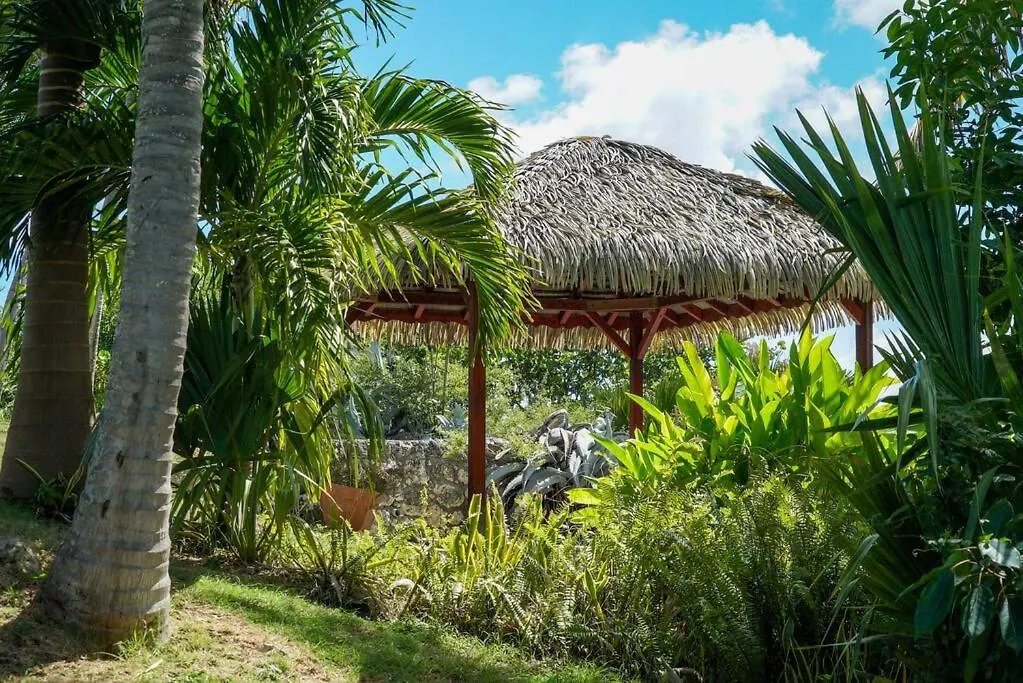 Villa Terraviva St Francois, Jardin, Piscine, 8 Pers サン・フランソワ